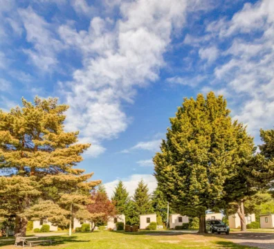 Double Standard Cabin Tress