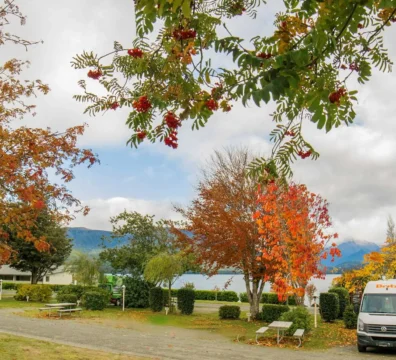 Powered Site Campers And Trees