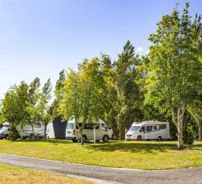 Powered Site Campers Lined Up